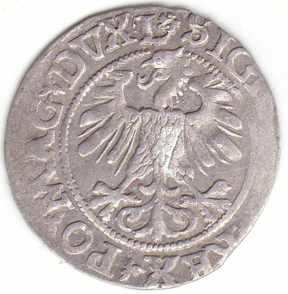 4SA101-26. Žygimanto Augusto lietuviškas pusgrašis, 1560 m. Rozetė averse. - Image 2
