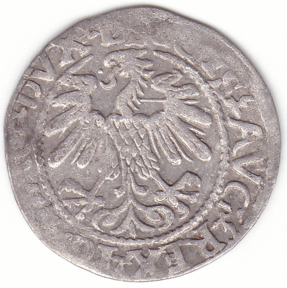 4SA93-24. Žygimanto Augusto lietuviškas pusgrašis, 1560 m. LIT reverse. - Image 2