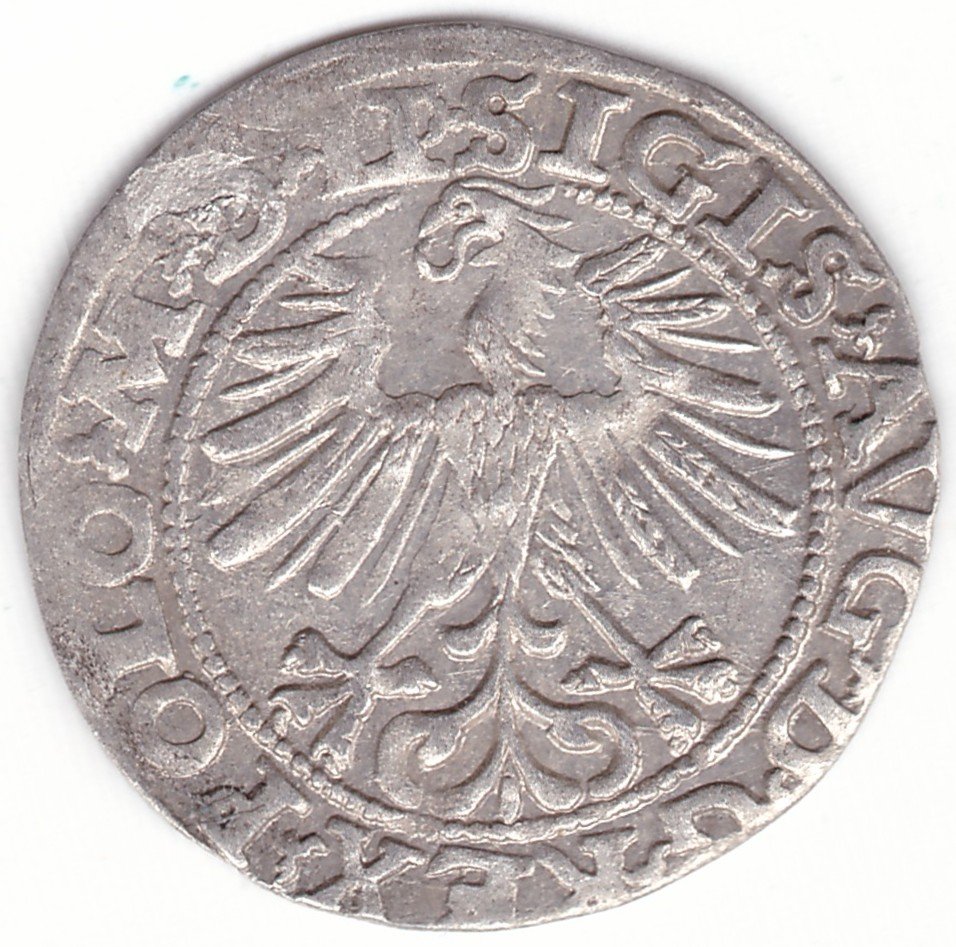 4SA139-37. Žygimanto Augusto lietuviškas pusgrašis, 1563 m. - Image 2