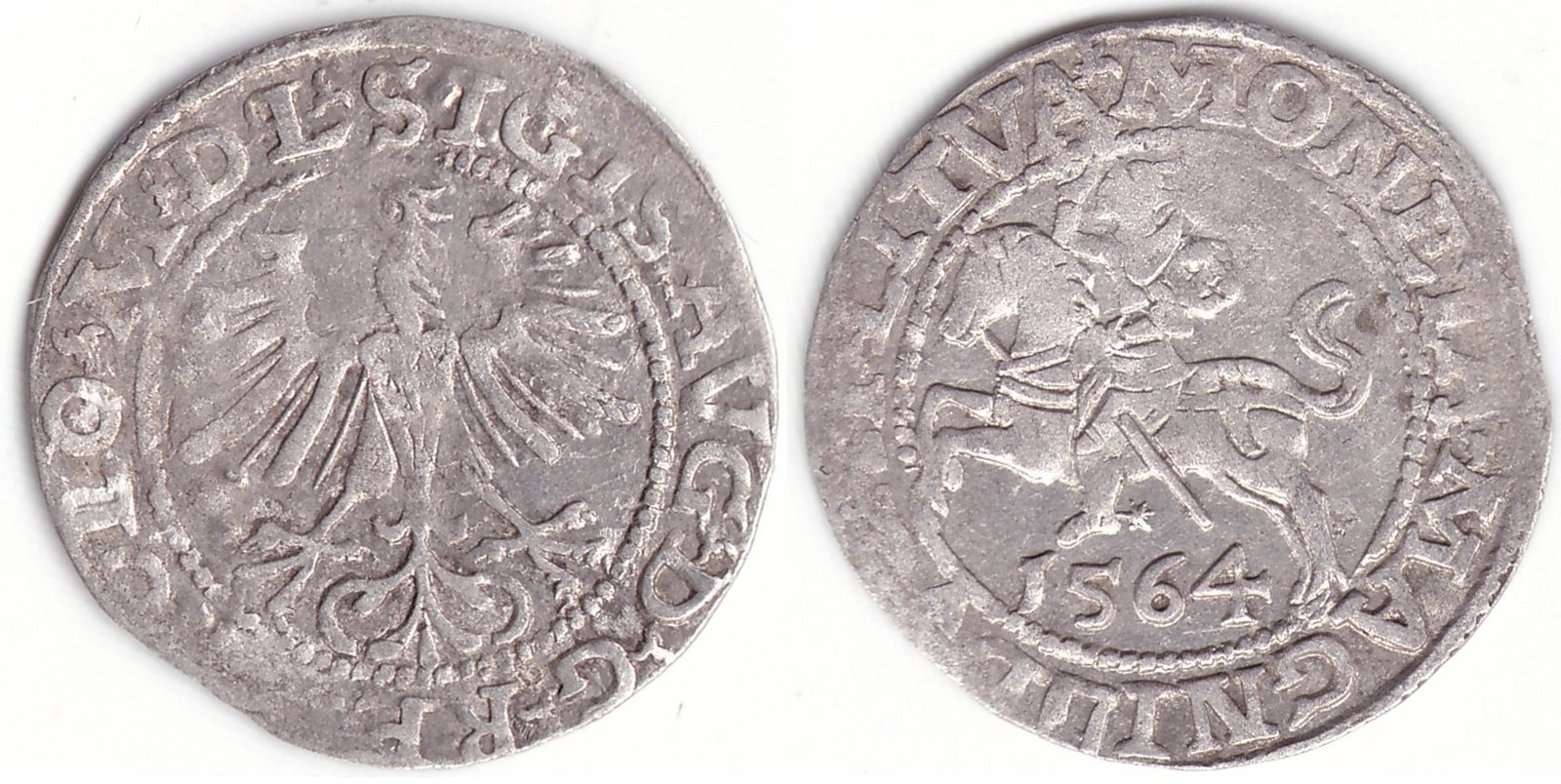 4SA158-43. Žygimanto Augusto lietuviškas pusgrašis, 1564 m.