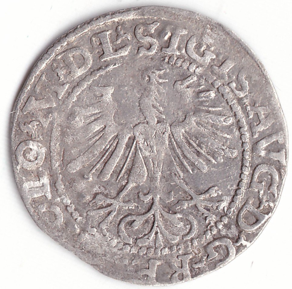 4SA158-43. Žygimanto Augusto lietuviškas pusgrašis, 1564 m. - Image 2