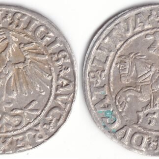 4SA38-12. Žygimanto Augusto lietuviškas pusgrašis, 1548 m.