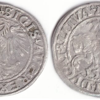 4SA37-12. Žygimanto Augusto lietuviškas pusgrašis, 1548 m.