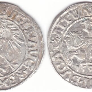 4SA208-16. Žygimanto Augusto lietuviškas pusgrašis, 1556 m. LITVΛ