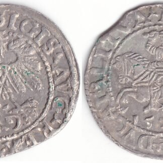 4SA418-24. Žygimanto Augusto lietuviškas pusgrašis, 1559 m. LITVΛ